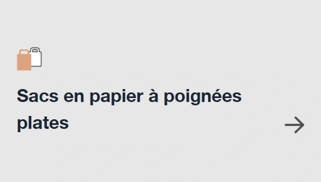 Sacs en papier &agrave; poign&eacute;es plates