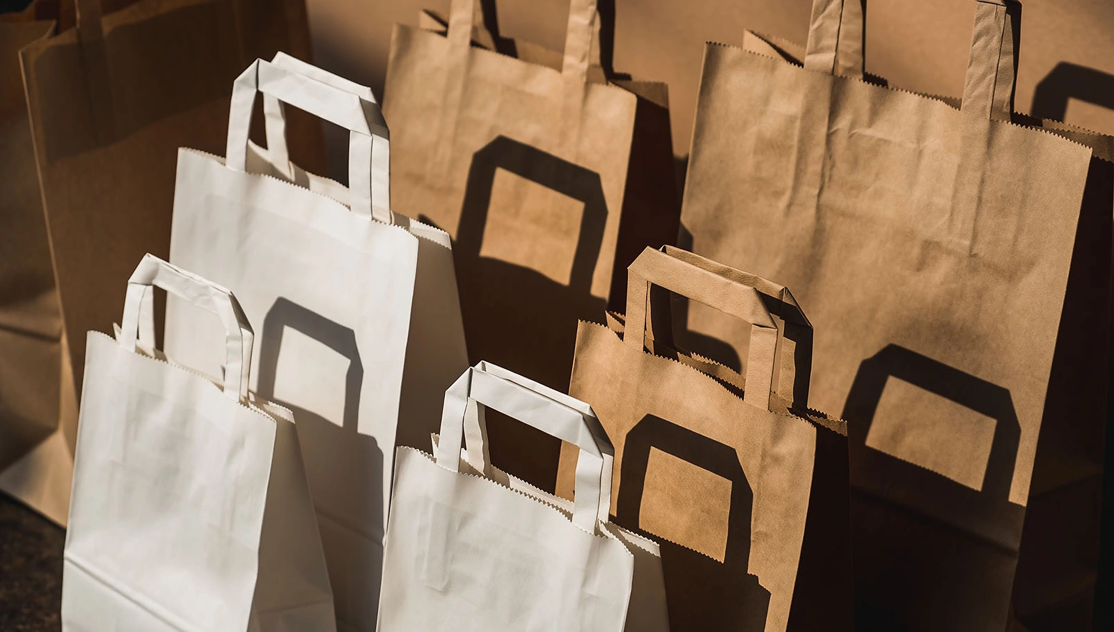 Papiertragetaschen Auswahl unbedruckt small