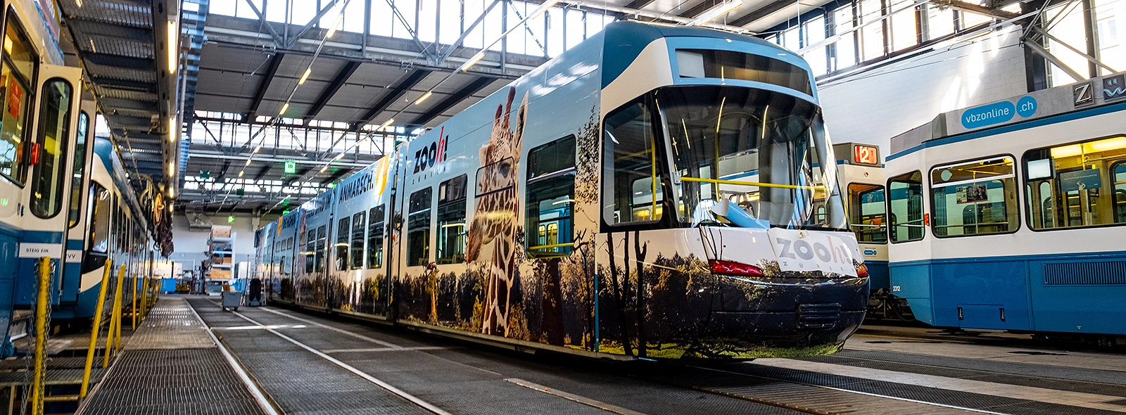Zoo Tram 1600x590