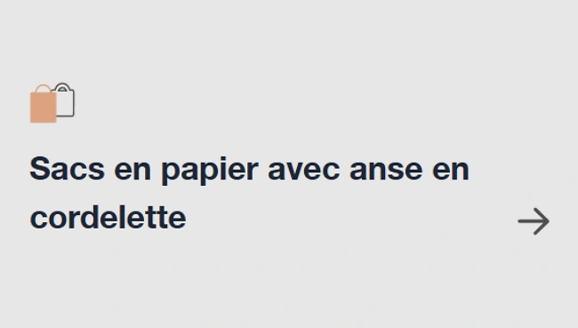 Sacs en papier avec anse en cordelette