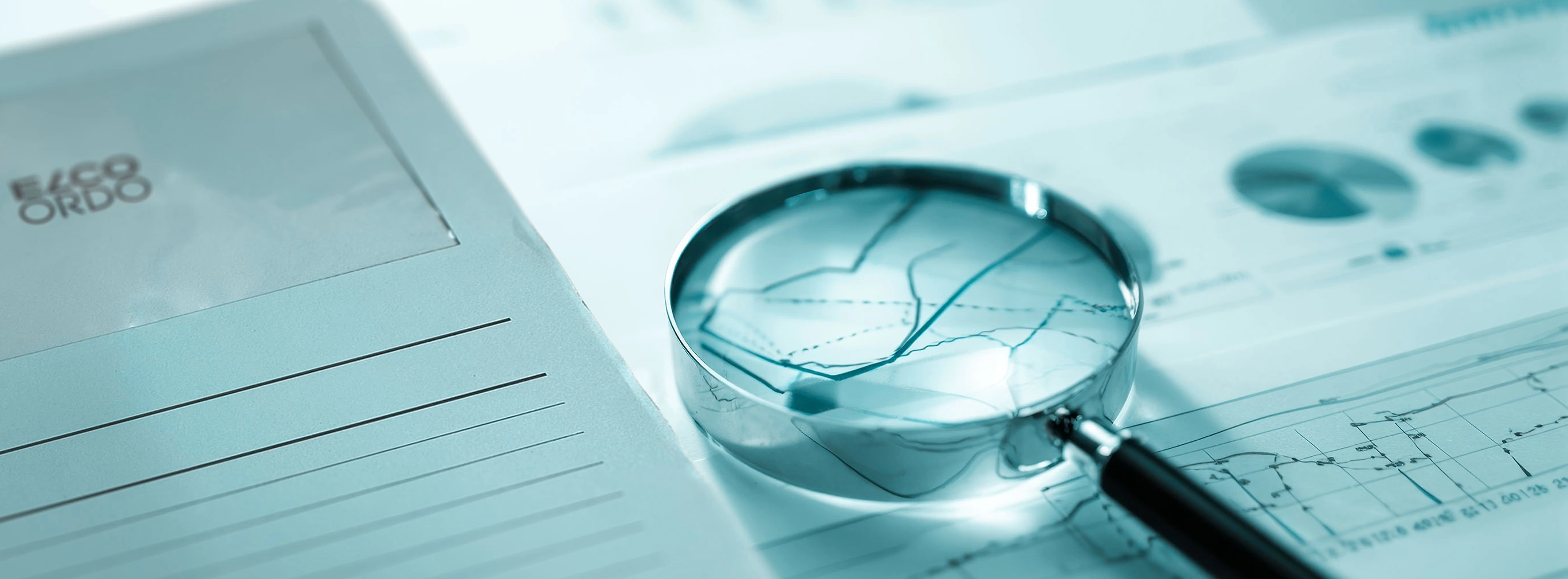 Oekonomie Image small