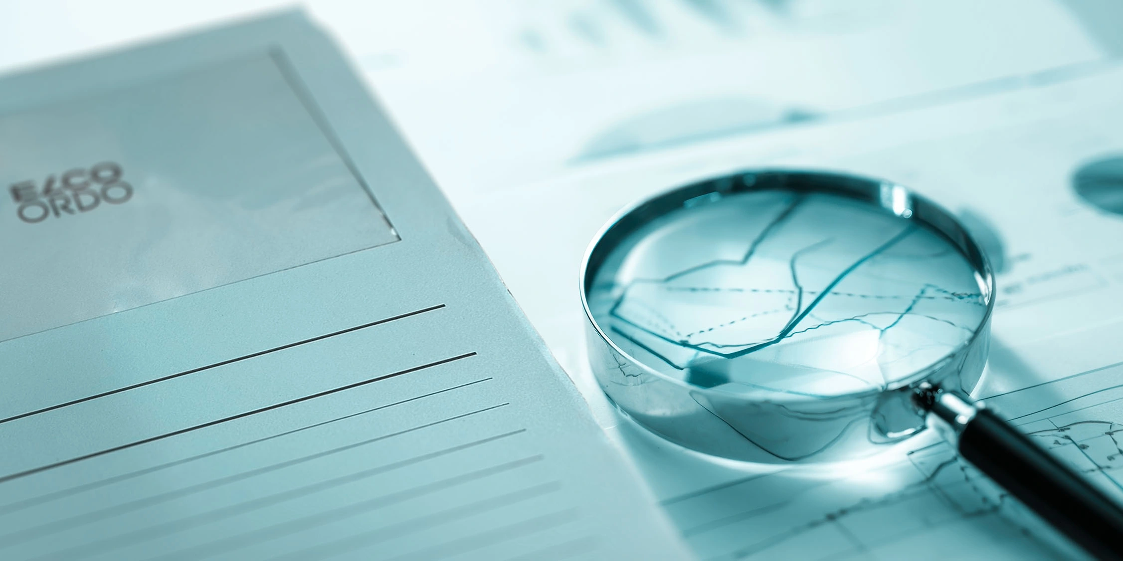 Oekonomie Image small