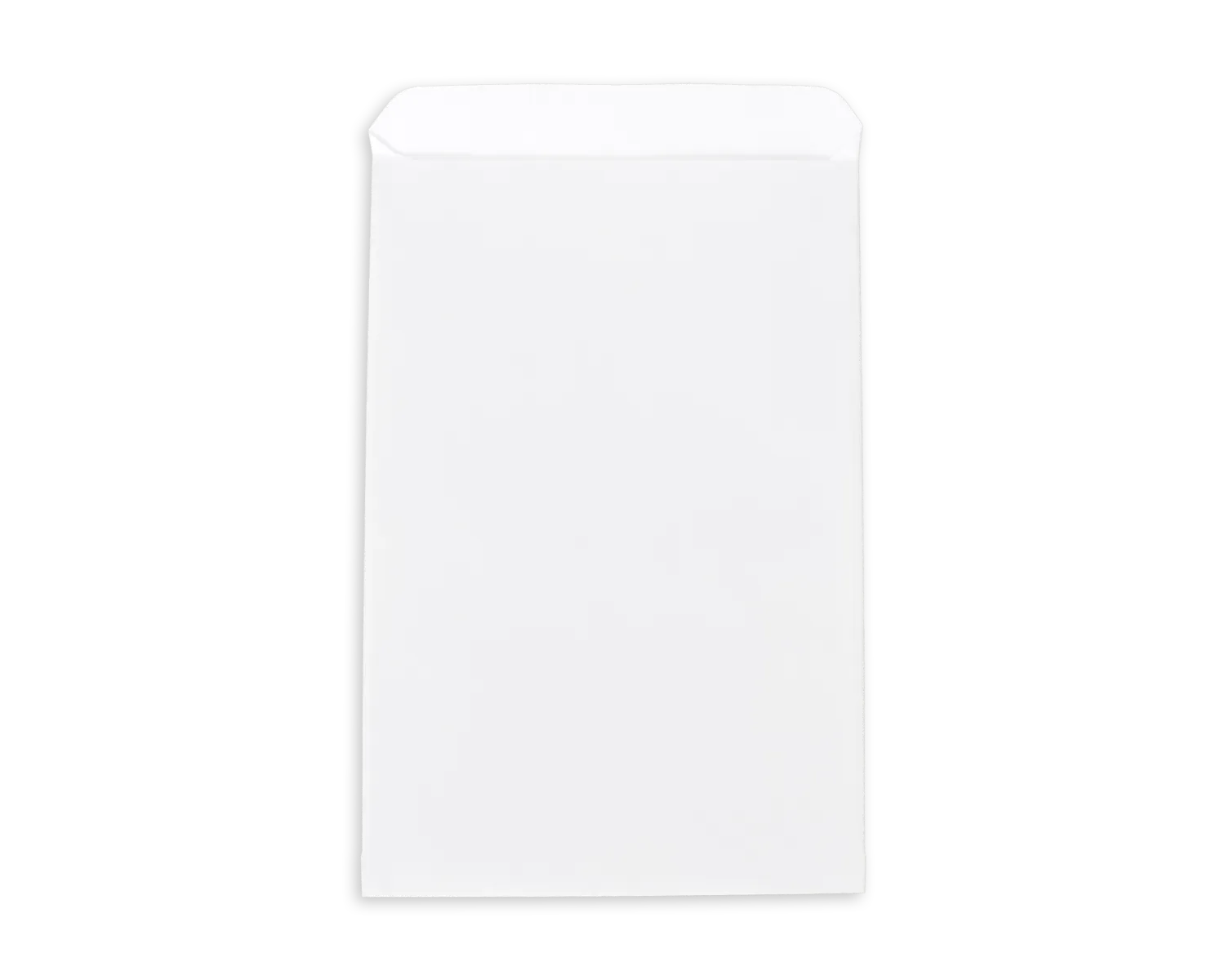 000000000000070025/EcmFileImage/PIM Product/ELCO/IDS_FROM_121501_TO_122000/000000000000070025_1be9687803_73512_70020_70021_70022_70023_70024_70025_70026_1_Apothekerbeutel_diverseGrössen_weiss_flach_Vorderseite.png