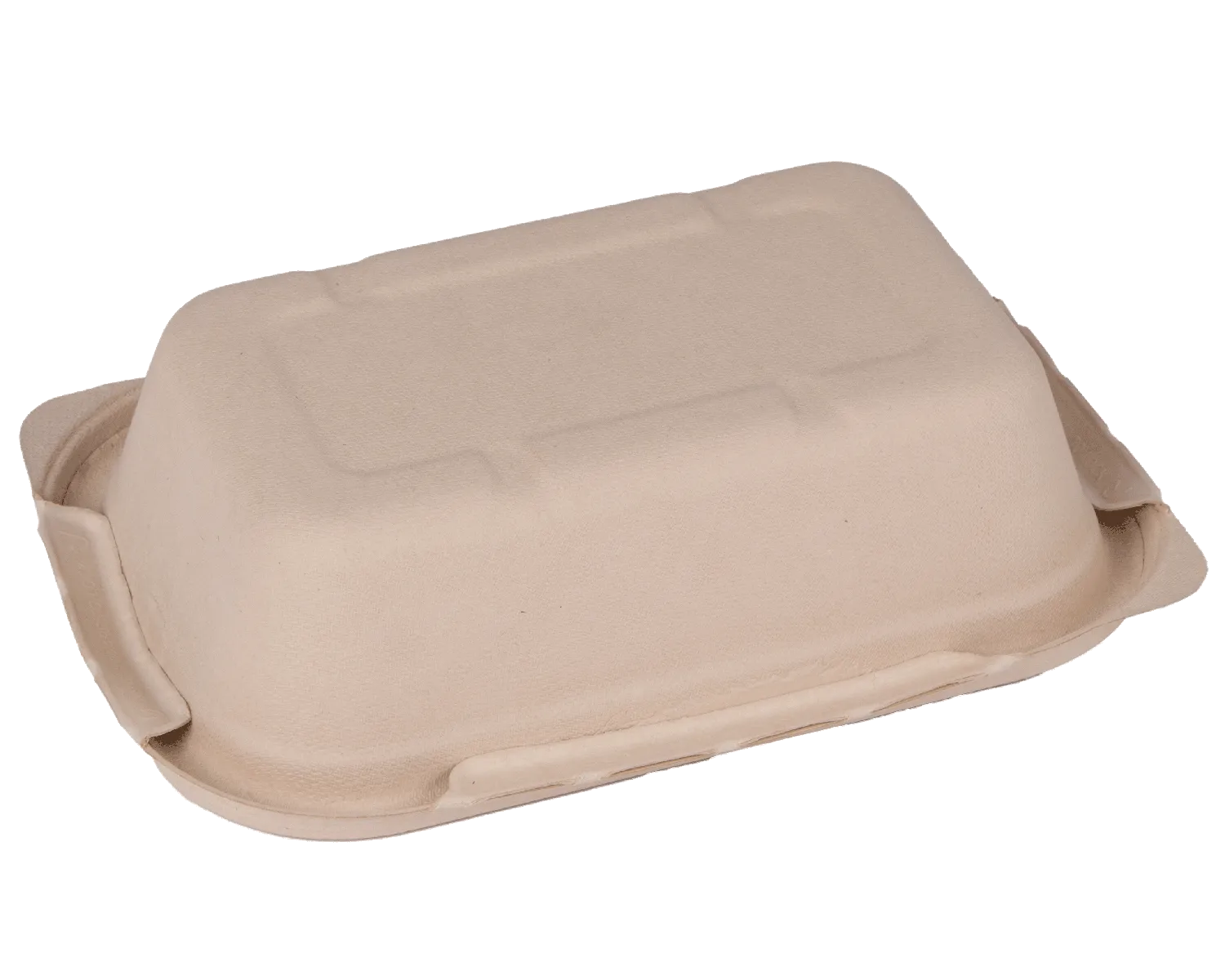 Barquette avec couvercle 850 ml (22.9 x 15.3 x 5 cm)