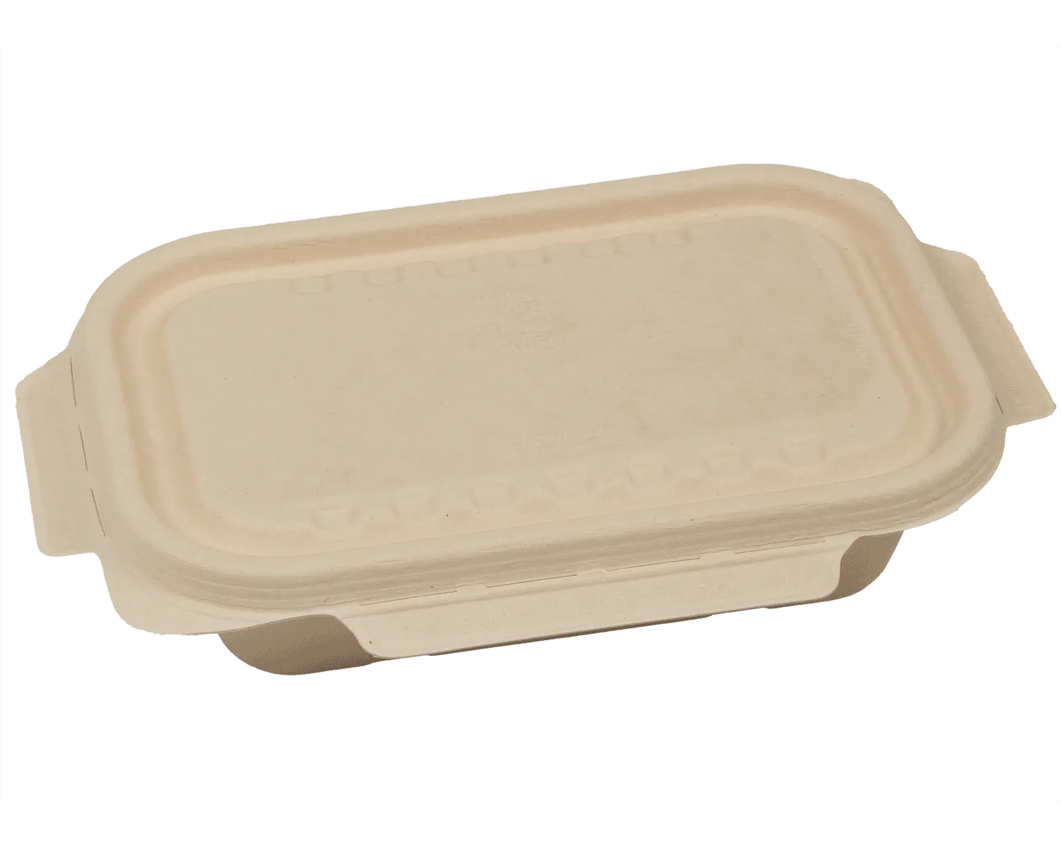 Barquette avec couvercle 1000 ml (22. 9 x 15.3 x 5.7 cm)