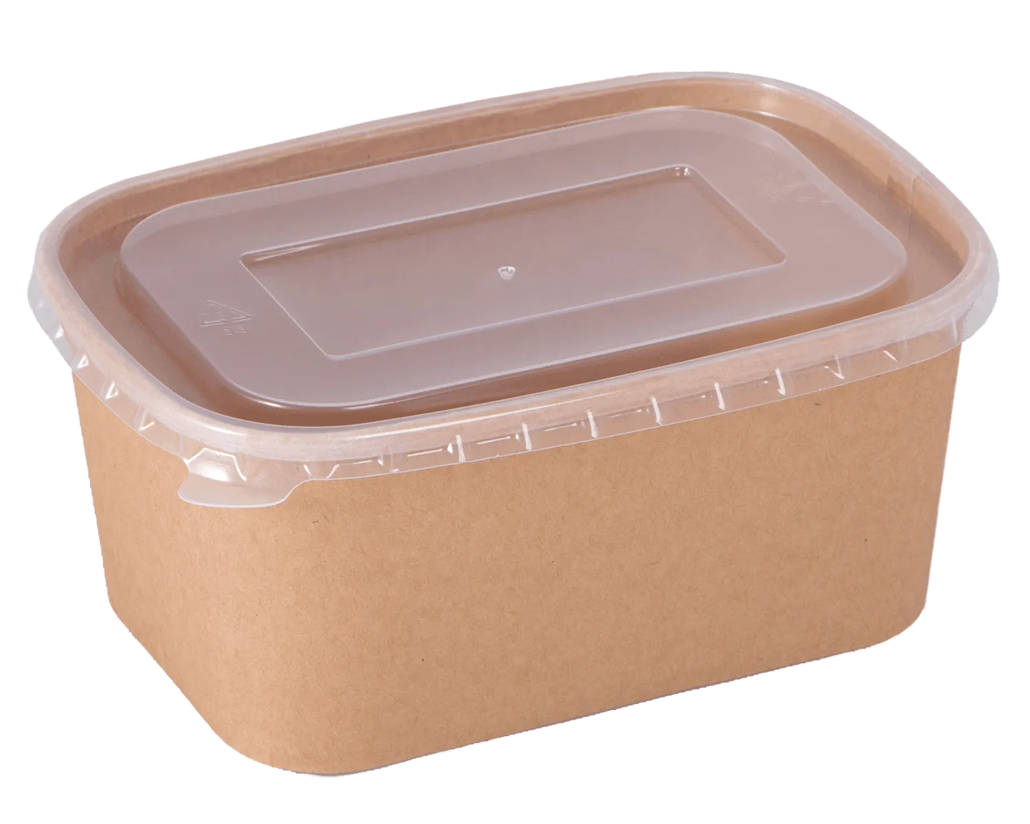 Barquette avec couvercle rectangulaire 750 ml (17.3 x 12 x 5.7 cm)