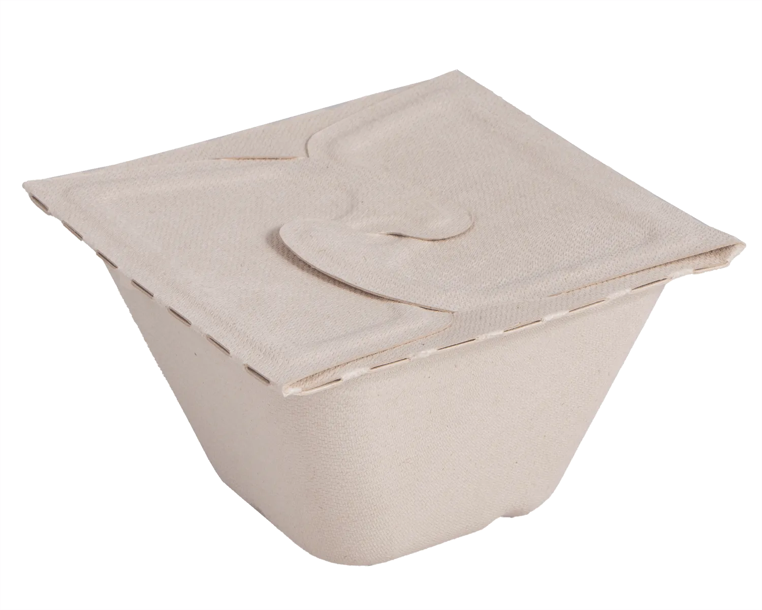 Meal Box mit Faltdeckel 500 ml (13 x 13 x 7 cm)