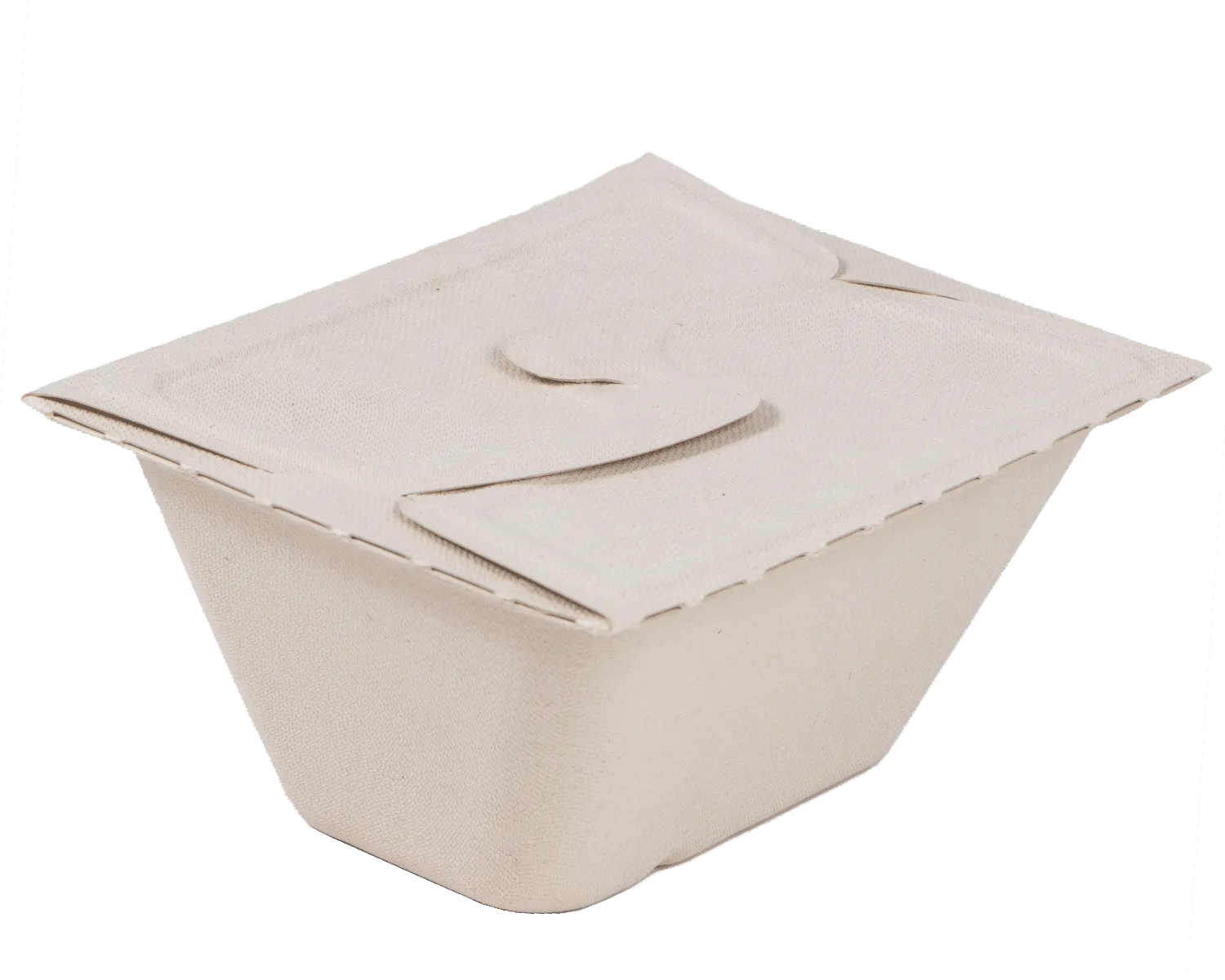 Meal Box mit Faltdeckel 750 ml (17 x 13 x 7 cm) - 10er Pack