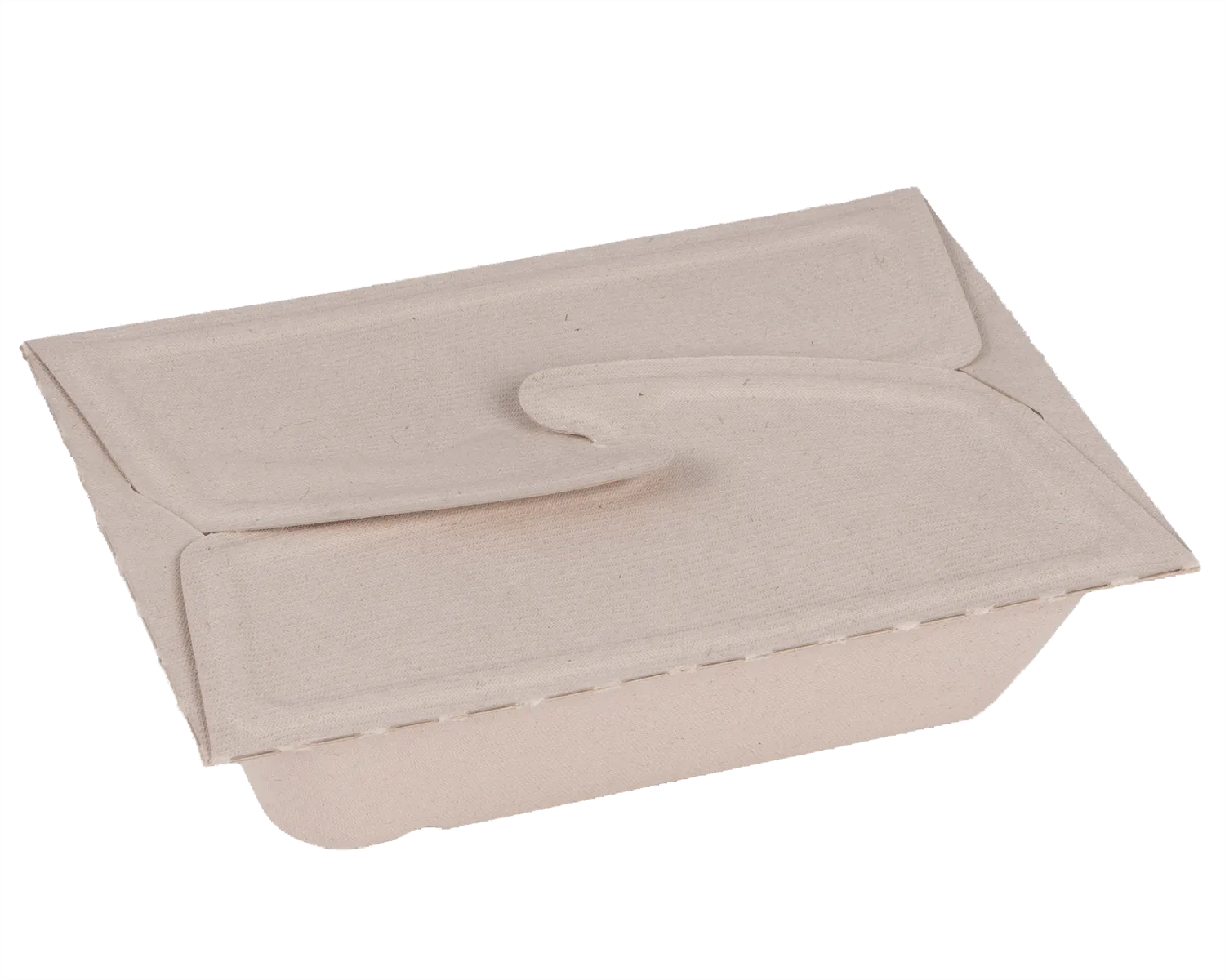 Meal Box mit Faltdeckel 1000 ml (21 x 15 x 5 cm) - 10er Pack