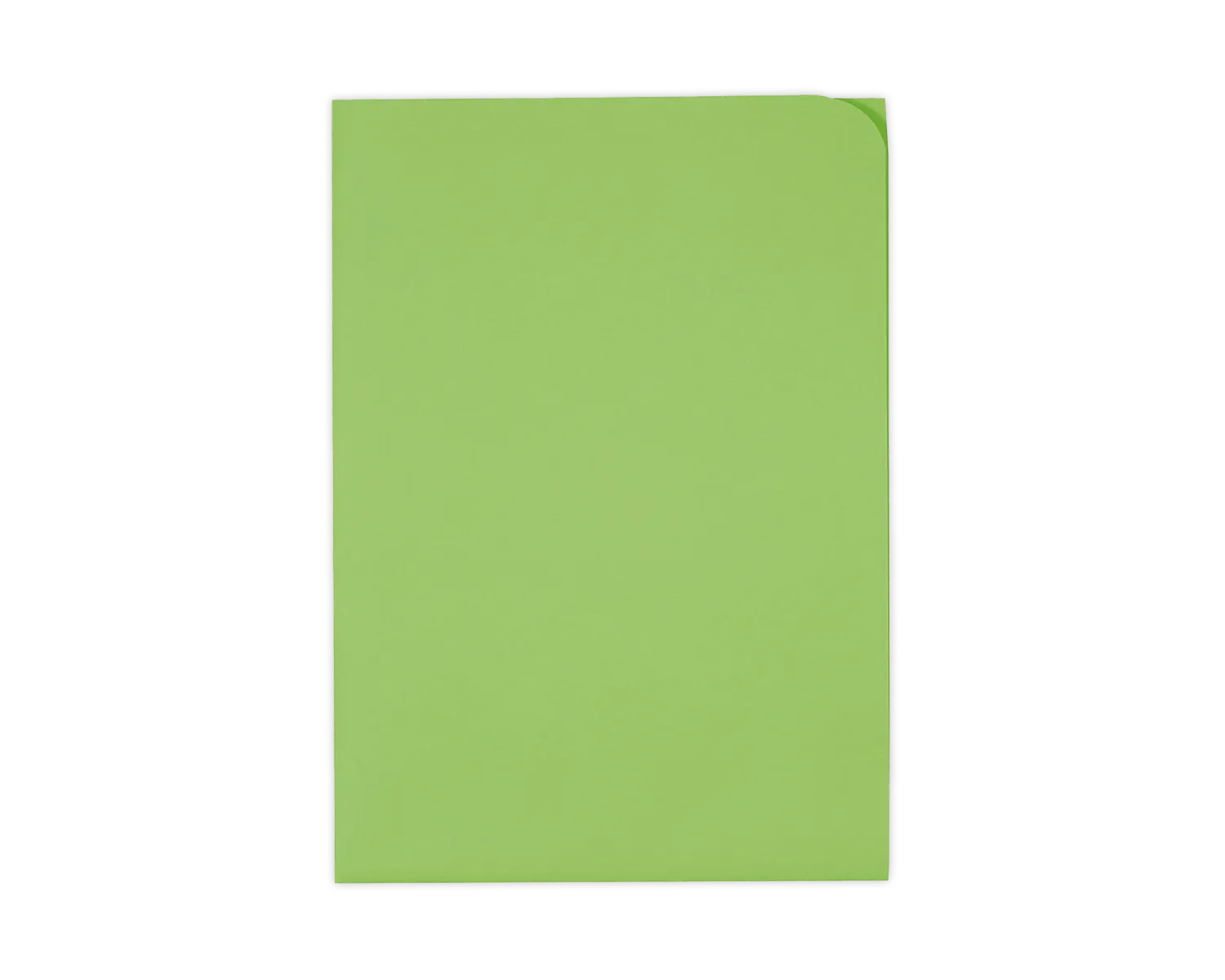 Organisationsmappe, ELCO Ordo Discreta, 220 x 310 mm, 120g/m2, intensivgrün