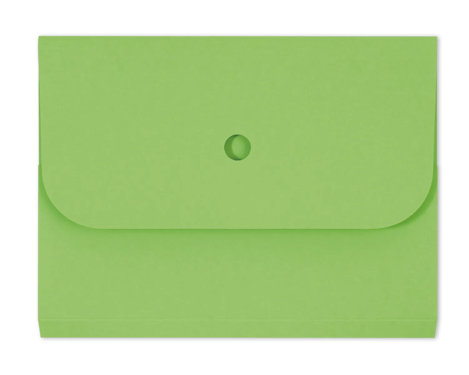 Organisationsmappe, ELCO Ordo Forte, 320 x 245 mm, 320g/m2, intensivgrün