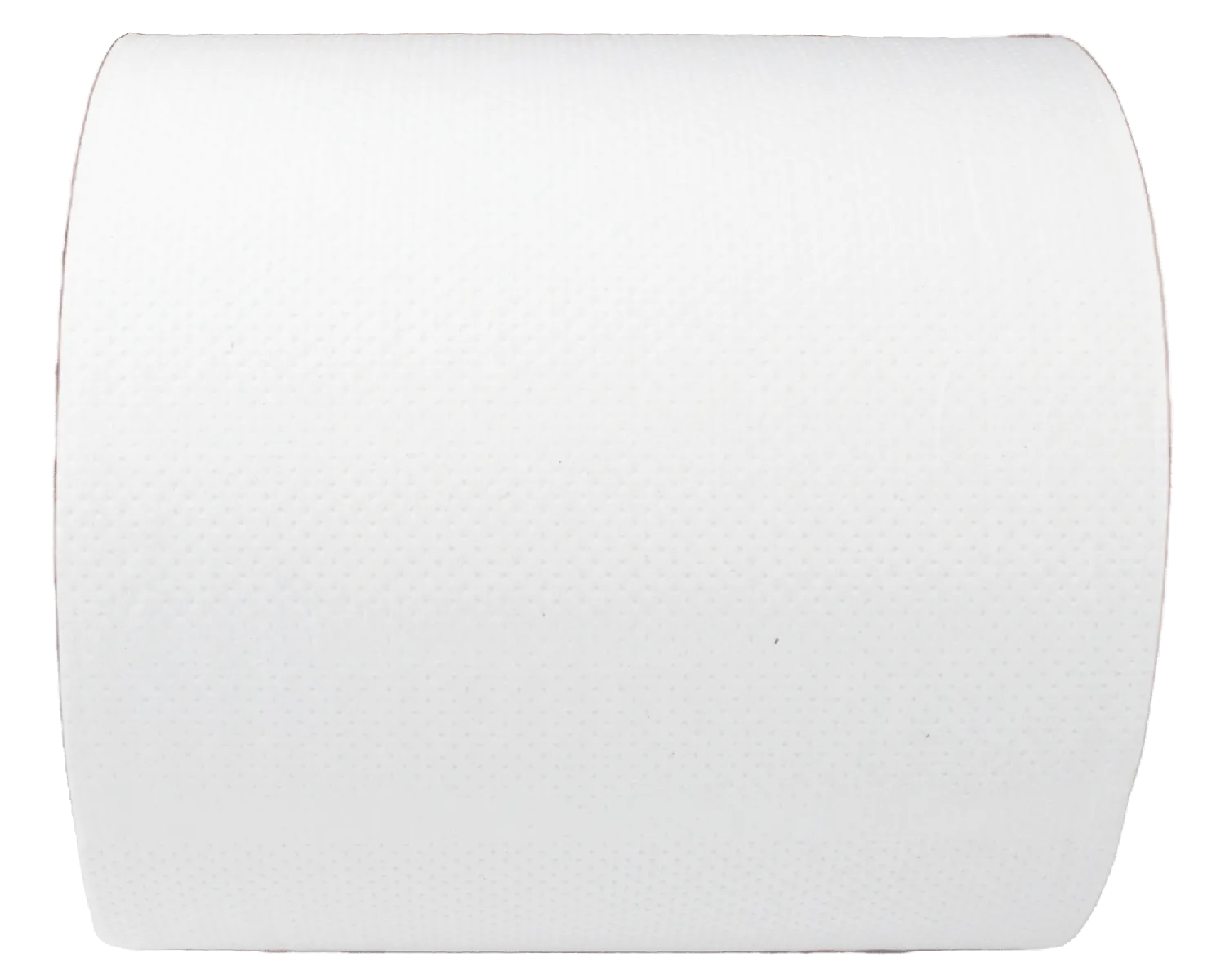 Handtuchrolle Innenabwicklung, 1-lagig, 300m