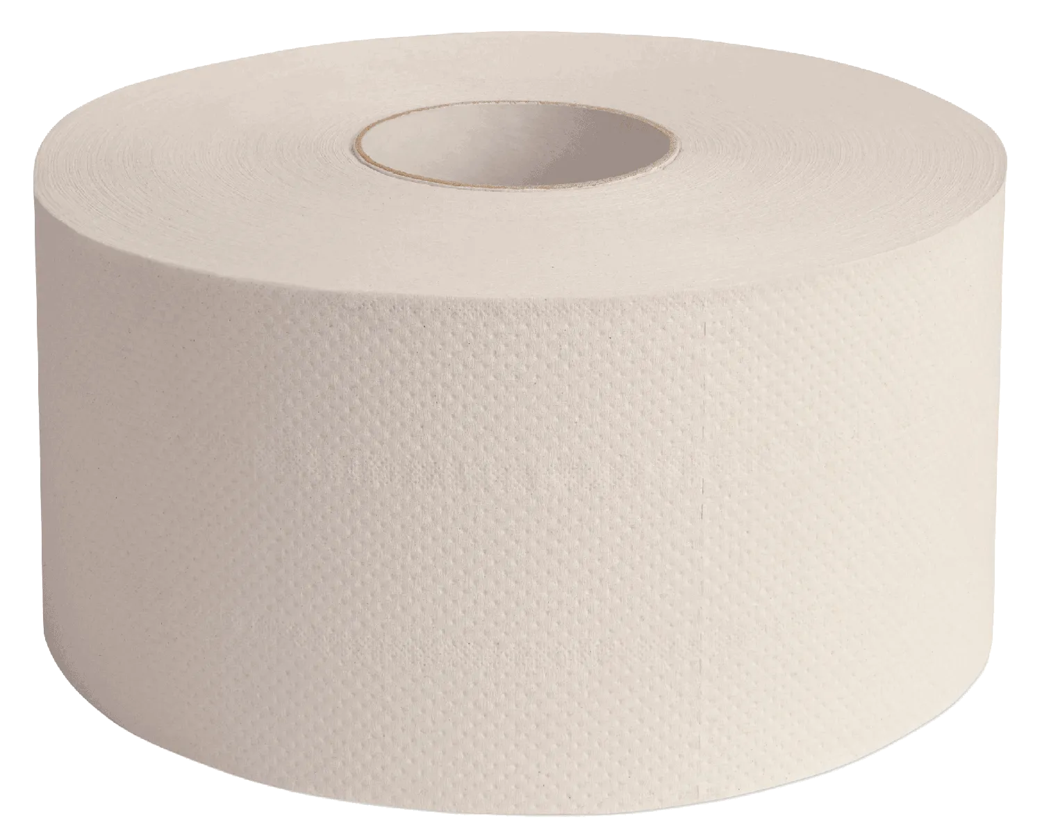 Toilettenpapier Jutta-Renate, 2-lagig, 180m (Blatt 9x22cm, H&uuml;lse 6cm,  Rolle 19cm) - 16 Rollen