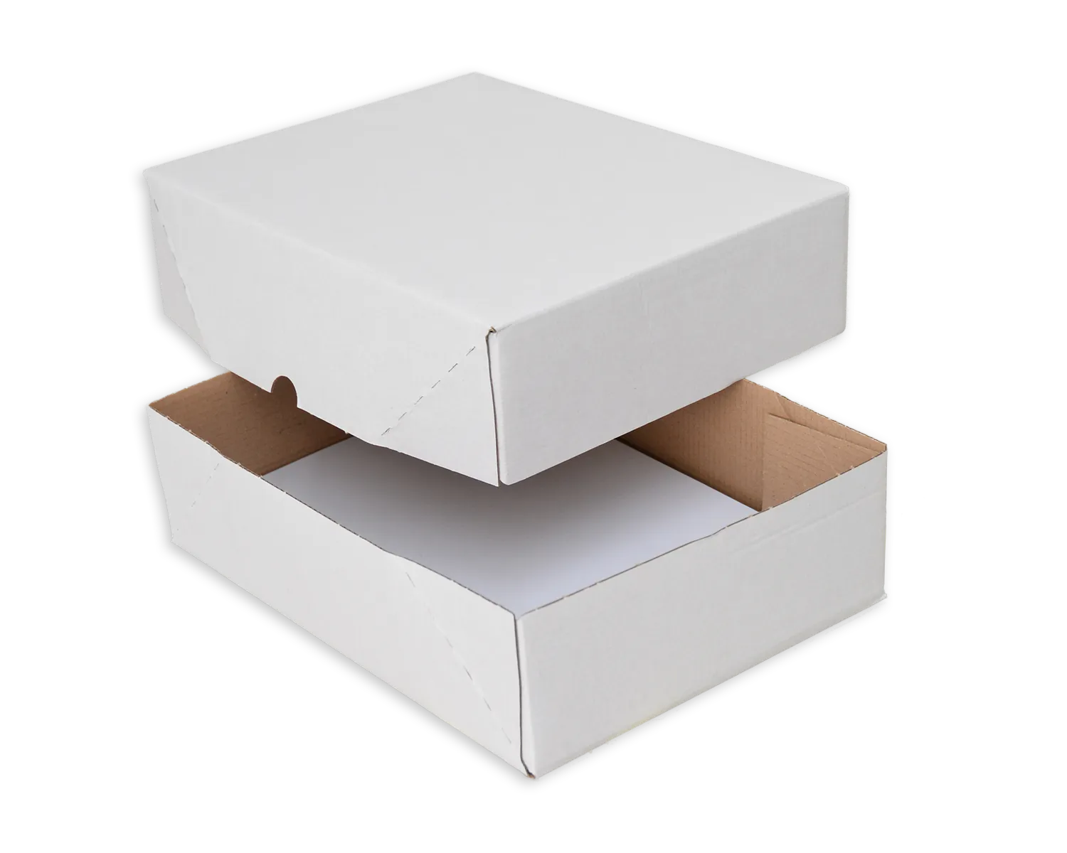 Bo&icirc;te &agrave; t&ecirc;ti&egrave;res, ELCO Paperbox, 300 x 215 x 80 mm, blanc