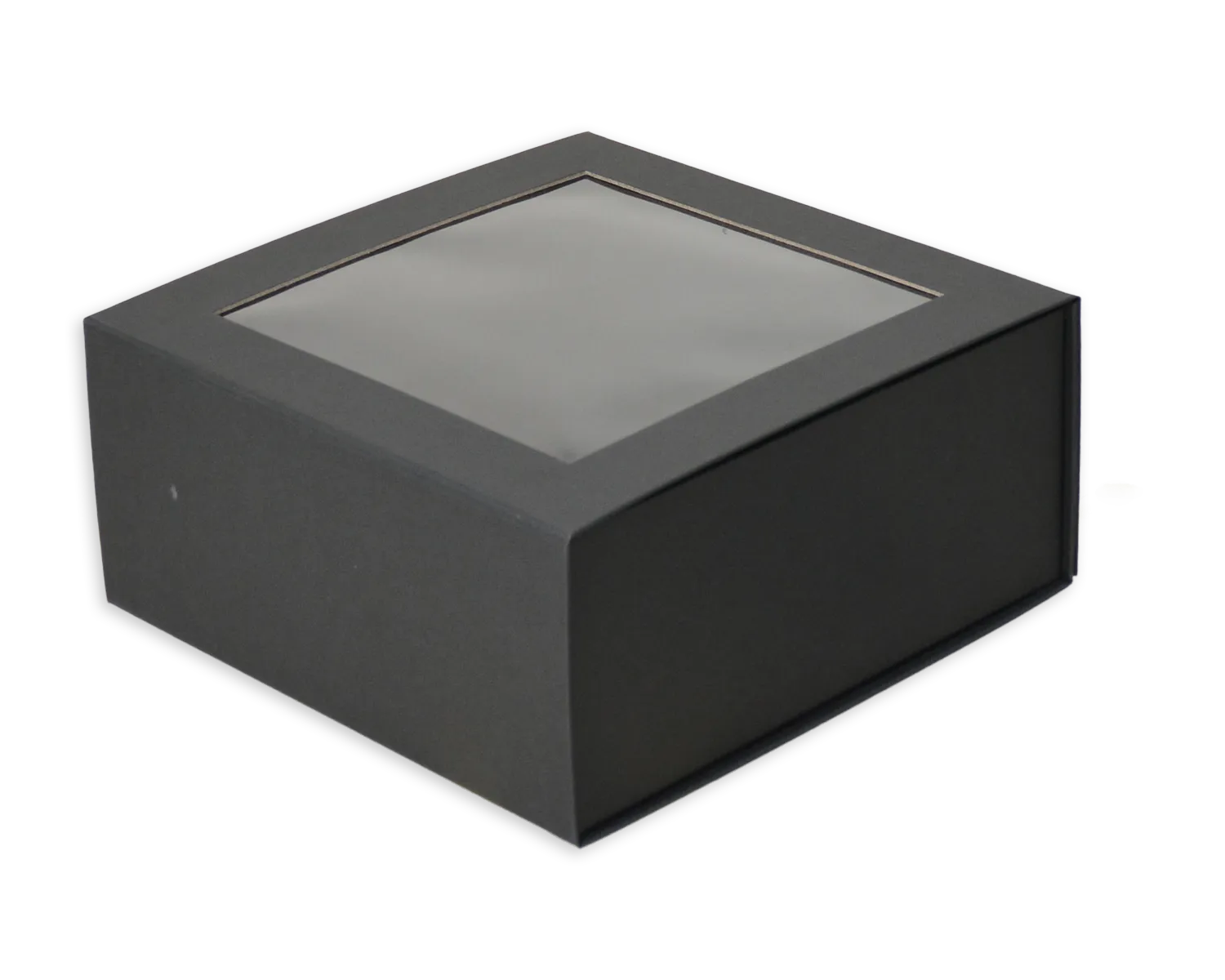 ELCO Clearbox, 220 x 220 x 100 mm, schwarz