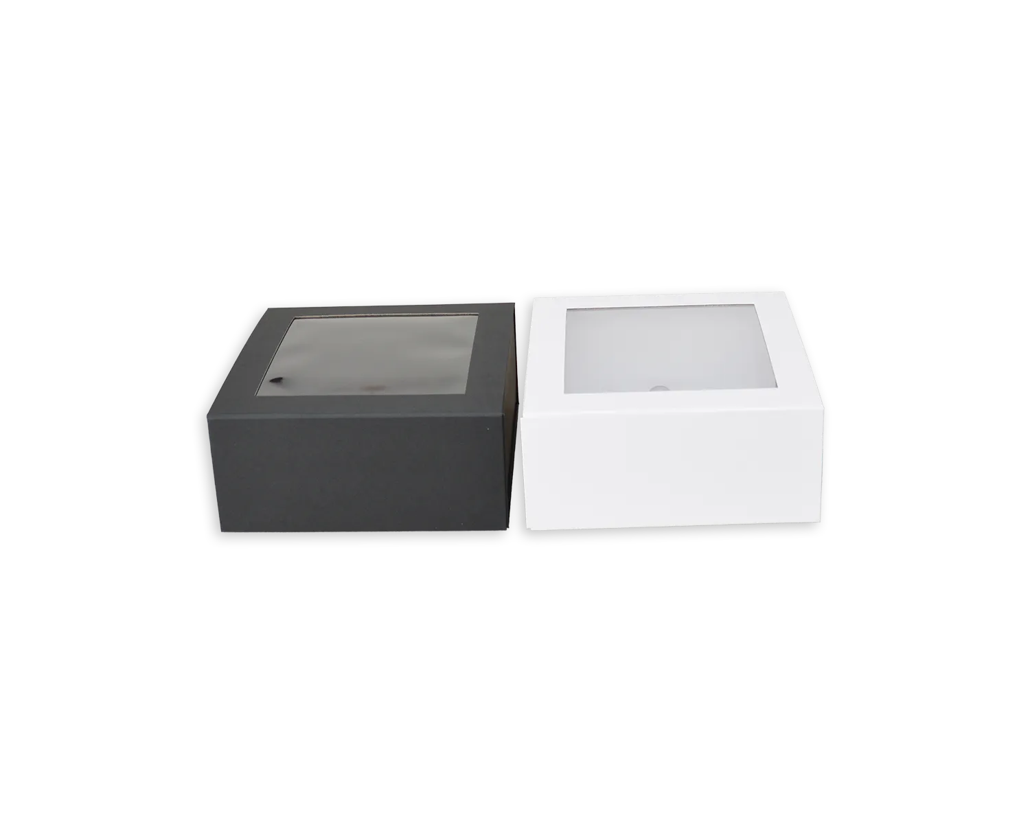 ELCO Clearbox, 220 x 220 x 100 mm, schwarz