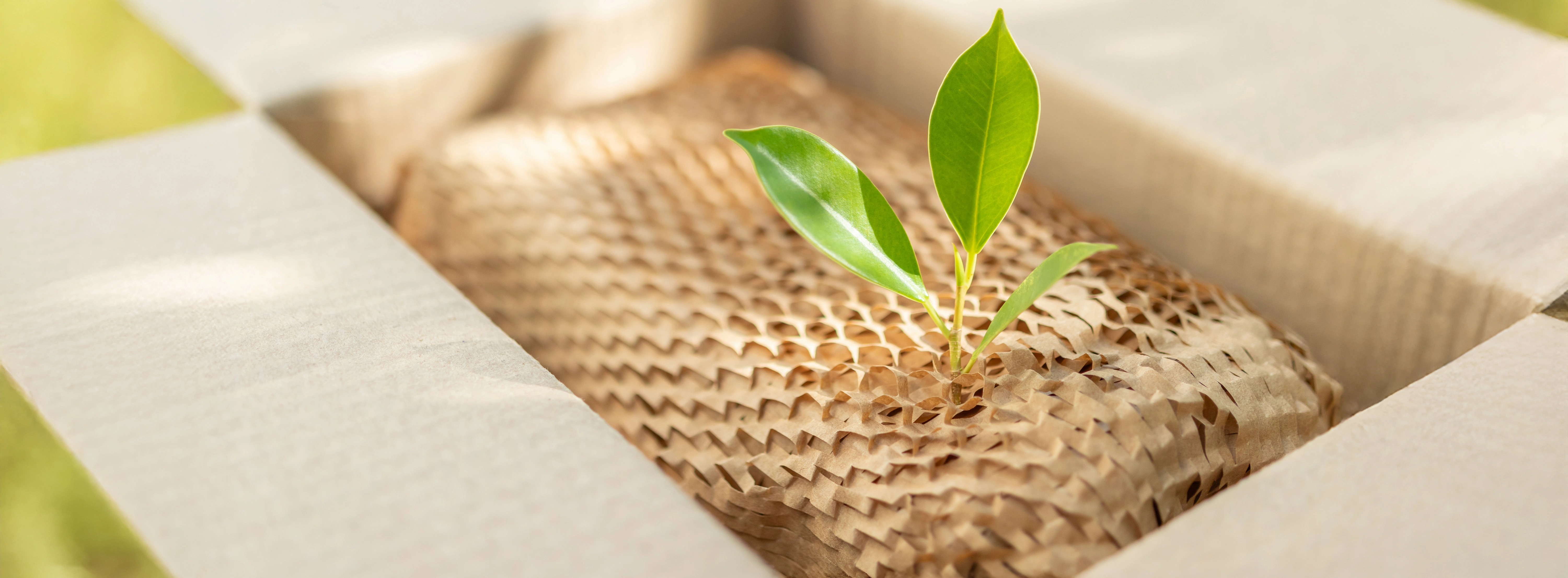 AdobeStock 1011566445 bea